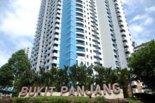 Blk 545 Bukit Panjang Ring Road (Bukit Panjang), HDB 5 Rooms #223932